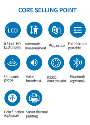 High Weight Scale Machine with Coin Weighing Scales Manufacturer