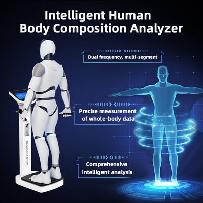 Popular Body Analysis Machine Comprehensive Analysis Body Status BMI Fat Machine