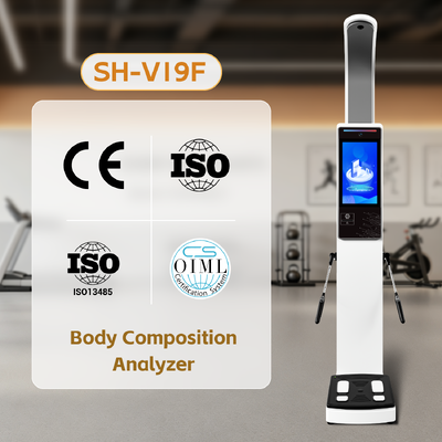 Intelligentes Körpermessgerät BMI Human Scale SH-V19F Körperzusammensetzungsanalysator